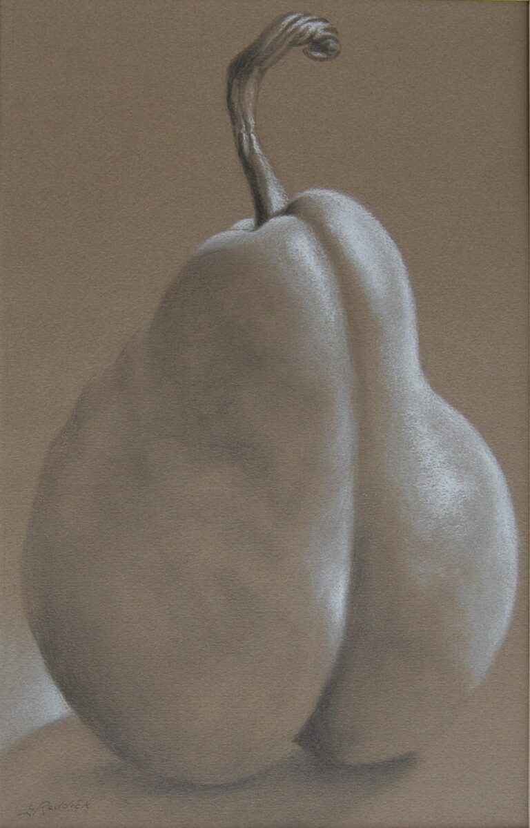 STUDY CHEEKY graphite+conte 15x20