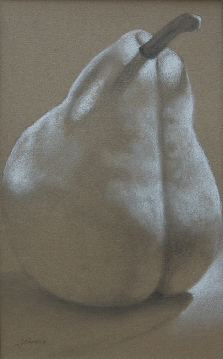 STUDY LIGHT ON MY BACK 13x19  graphite and conte on paper